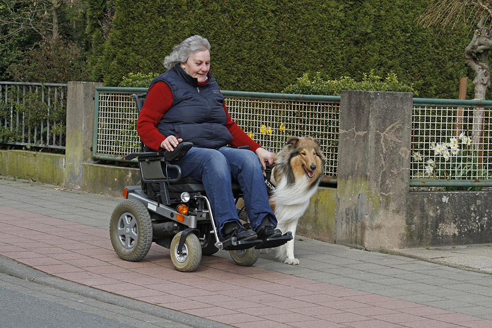 miramigo-hundeakademie-lpf-assistenzhund-rollstuhl
