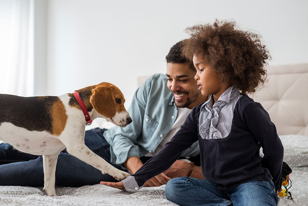 miramigo-hundeakademie-servicehund-kind