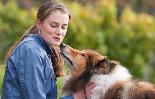 miramigo-hundeakademie-servicehund-start