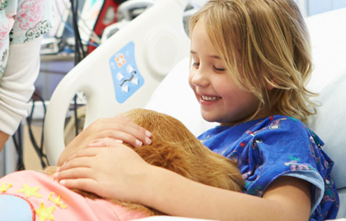 miramigo-hundeakademie-zusatzaufgabe-hund-start