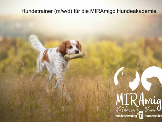 Stellenausschreibung_Hundeakademie_Logo